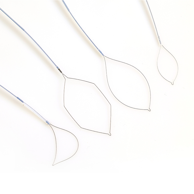 Disposable Polypectomy Snares